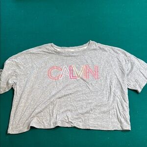 Calvin Klein Gray Boxy Crop T-Shirt